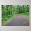 Suche nach natur fotografie poster Bäume