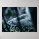 Suche nach samt poster Niedlich