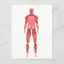 Suche nach frontal postkarten Medizin