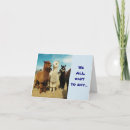 Suche nach guter chef karten Fotografie