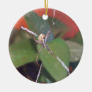 Suche nach spinne ornamente Spinnenartiges tier