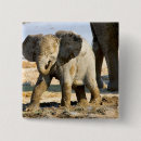 Suche nach afrikanischer elefant buttons Wildtiere