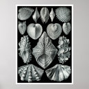 Suche nach vintager dekor poster Wandkunst