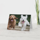 Suche nach labradoodles karten Welpen