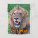 Suche nach botswana postkarten Delta