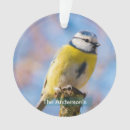 Suche nach vögel ornamente Einfach