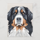 Suche nach bernese berg postkarten Hund