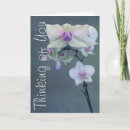 Suche nach die orchidee karten Für sie