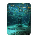 Suche nach nassau bahamas magnete Paradies