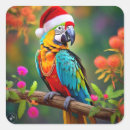 Suche nach vögel mit hüten aufkleber Weihnachten