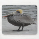 Suche nach pelikan mousepads Florida