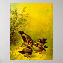 Suche nach spatz poster Vintag