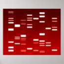 Suche nach dna andere Labor