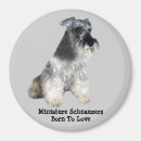 Suche nach schnauzer magnete Mini
