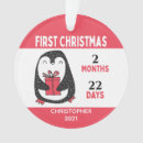 Suche nach pinguin ornamente Ferien