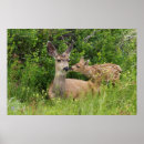 Suche nach ken archer poster Montana