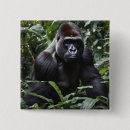 Suche nach gorilla buttons Primat