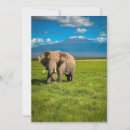 Suche nach kenya karten Amboseli nationalpark
