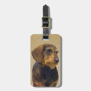 Suche nach wildschwein accessoires Dackel