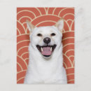 Suche nach hund postkarten Vertikal