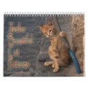 Suche nach schöne katzen kalender Tiere