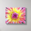 Suche nach dahlie leinwandbilder Mit blumen