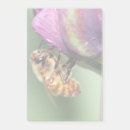 Suche nach hummel post it Rett der bienen