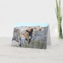 Suche nach esel karten Burro