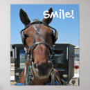 Suche nach pferd und wagen poster Buggy