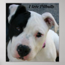 Suche nach pitbull kunst Weiß