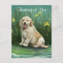 Suche nach golden retriever welpe postkarten Hallo