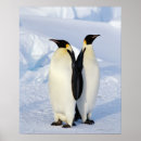 Suche nach penguin poster Animal