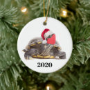 Suche nach schildkröte ornamente Weihnachtsmannmütze