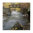 Suche nach fluss fliesen Fotografie