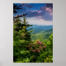 Suche nach lorbeere poster Wald