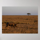 Suche nach nashorn poster Gefährdet