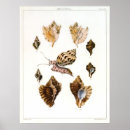 Suche nach schnecken poster Strand