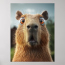 Suche nach lustige gesichter poster Lustiges tier