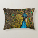 Suche nach exotischer vogel kissen Illustration