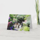 Suche nach sheltie karten Schäferhund