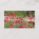 Suche nach baum blumen visitenkarten Fotografie