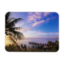 Suche nach moorea magnete Palme