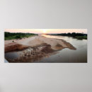 Suche nach waldbrände poster Sonnenuntergang