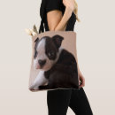 Suche nach sitz taschen Haustier