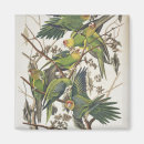 Suche nach parakeet magnete Illustration