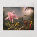 Suche nach martin johnson heade postkarten Kolibris