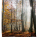 Suche nach spuk baum wohnen zuhause Herbst