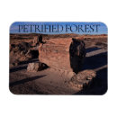 Suche nach holz magnete Fotografie