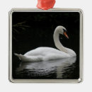 Suche nach lustige vögel ornamente Bezaubernd