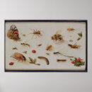 Suche nach insekten poster Raupe
